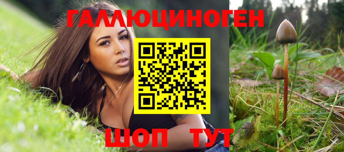 Галлюциногенные грибы Psilocybe  Вход с VPN  Галлюциногенные грибы мицелий  Керчь 