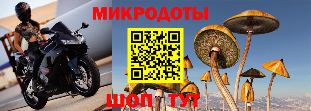 Галлюциногенные грибы Magic Shrooms Керчь